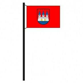 Hissflaggen