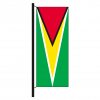 Hisshochflagge Guyana